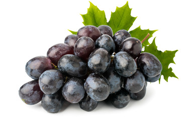 Bunch of ripe blue grapes with leaves on a white background, close up.