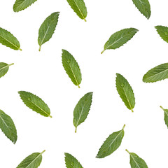 Seamless pattern with the image of mint leaves.