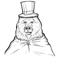 Hand drawn illustration bear in top hat,