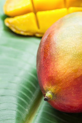 Tropical Nature Background Ripe Juicy Mango Whole and Sliced in Cubes on Large Green Palm Leaf. Healthy Food Lifestyle Vitamins Summer Travel Vacation Concept. Poster Streamer Template with Copy Space