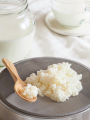 Tibetan milk mushroom. Organic probiotic milk kefir grains. The concept of a healthy diet and strengthening the immune system.