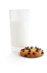 cookies isolated on white background