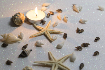 starfish , seashells , shellfish set isolated on white background