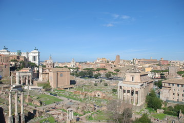 Fototapeta premium Roman Forum; town; historic site; geographical feature; landmark