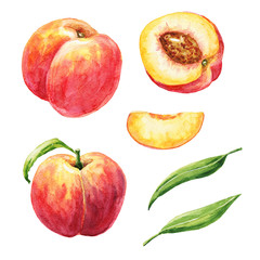 Hand drawn watercolor peaches set with green leaves, isolated on white background. Delicious fruit illustration.