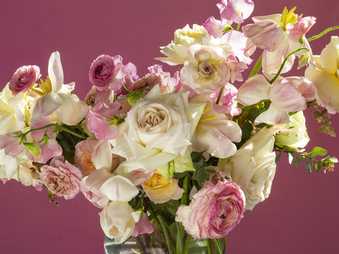 Close-up of rose flowers in vase on pink background