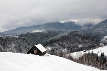 Fototapeta na wymiar Wood cabin in the mountains - countryside - beautiful village
