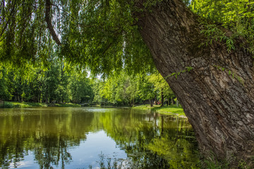 Fototapeta na wymiar green park with lake