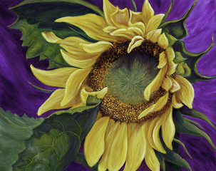 Sunflower Blooming Oil Painting
