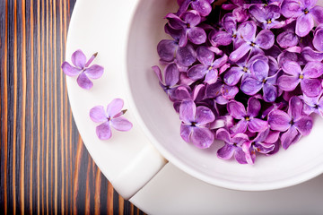 Purple lilac flowers in cup