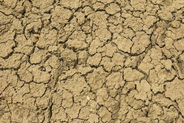 cracked earth in the desert. drought