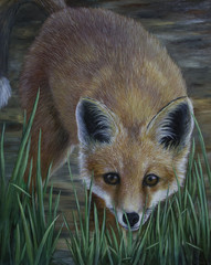 Red Fox Oil Painting