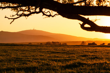 Der Brocken zeigt sich im Abendrot bei Dämmerung, Im Vordergrund ein Baum