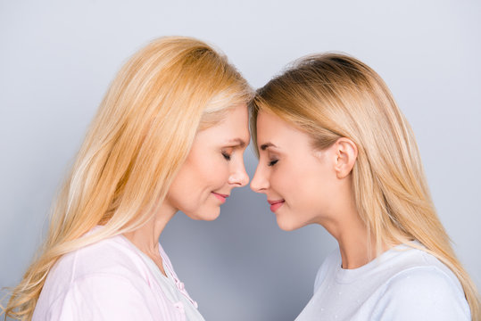 Side view portrait of cute lovely charming mom and adult kid with close eyes, nose to nose isolated on grey background, feeling native connection, enjoying leisure time together, love you forever