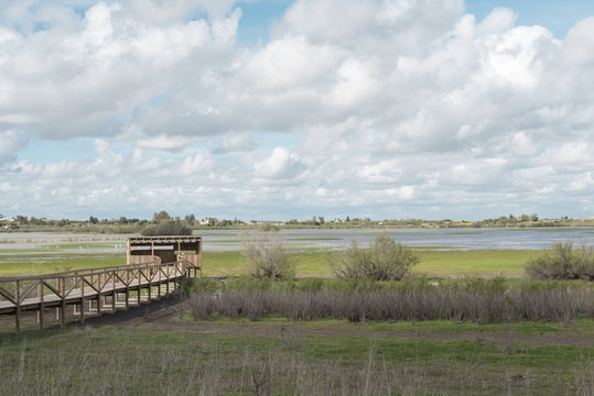 Laguna de los Tollos, situada  entre los t&eacute;rminos municipales de Jerez de la Frontera provincia de C&aacute;diz y El Cuervo provincia de Sevilla, foto tomada el 07 de abril de 2018