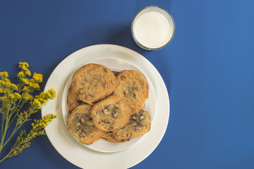 Plate of Chocolate Chip Cookies with Milk against Blue Background
