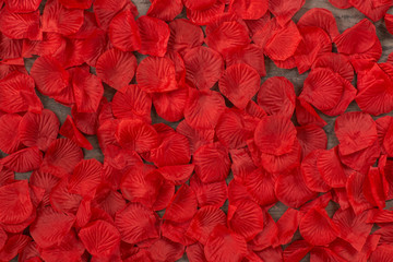 Fototapeta na wymiar Red Flower Petals 