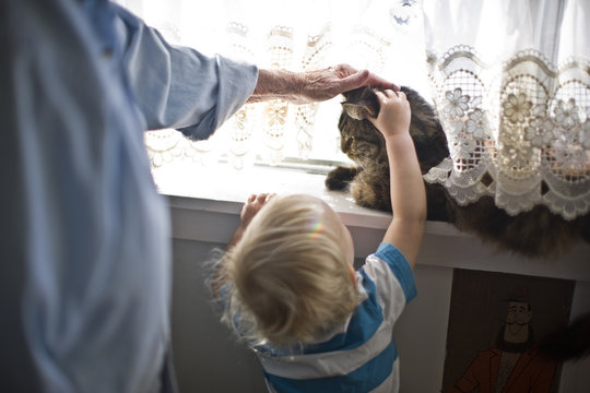 Young toddler reaching up to pat a cat sitting on an indoor windowsill.