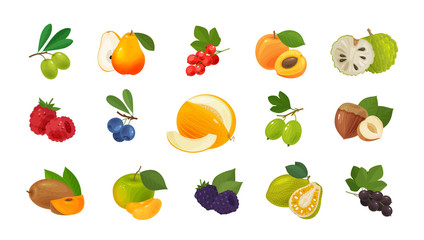 Fruits and berries, set of colored icons. Food concept. Vector illustration
