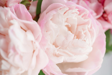 Fototapeta premium Lovely flowers in glass vase. Beautiful bouquet of white and pink peonies . Floral composition, daylight. Summer wallpaper. Pastel colors