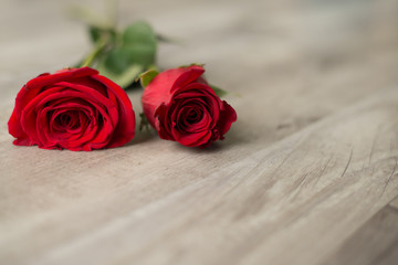 Red Roses Background 