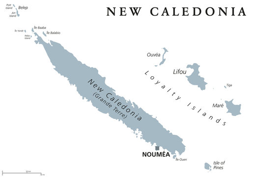 New Caledonia political map, capital Noumea. Collectivity of France in Pacific Ocean. Archipelago. Main Island Grand Terre and Loyalty Islands. English labeling. Gray illustration over white. Vector.