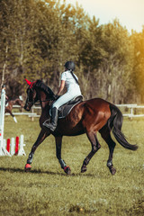 Obraz premium A woman jockey participates in competitions in equestrian sports, jumping.