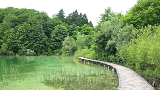Amazing Landscape at Plitvice Lakes National Park, Croatia. 4K Video Clip