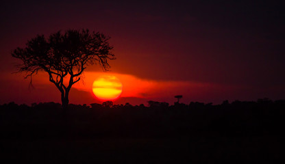 A mesmerizing sunset at Masai Mara, Kenya