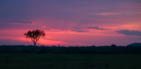 A beautiful sunset, Masai Mara National Reserve, Kenya