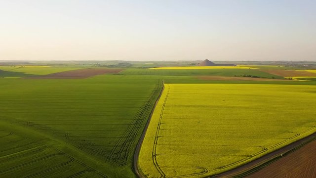 drone flight over rape fields