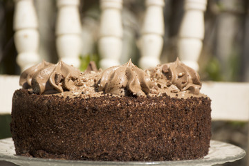 Chocolate cake decorate with large curls of shaved chocolate bordered with whipped cream 