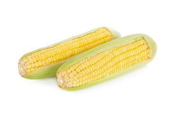 uncooked whole sweet corn with shell on white background