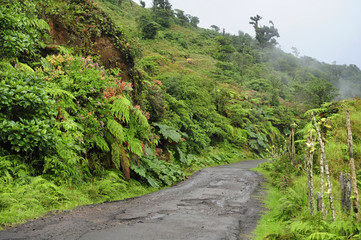 A rural road winds through the lush countryside in Valverde Vega in Costa Rica.