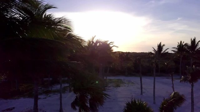 Aerial drone shot. The camera slowly flies over the coconut palms. Beautiful sunset on the coast of the Caribbean Sea. Riviera Maya, Quintana Roo, Mexico.