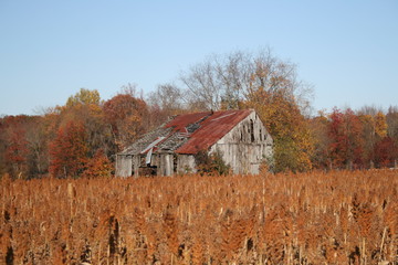 Rustic barn in field