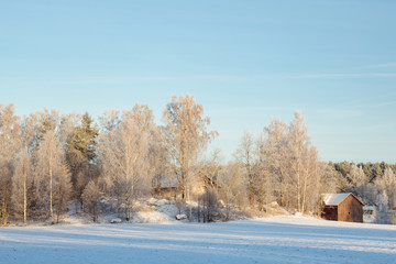 Countryside winter landscape Finland