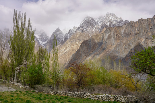 Mountainscape at Passu village with green trees and low stone wall at foreground, Gilgit, Balistan,Pakistan