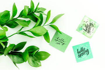 Spring background. Hand lettering hello spring near young green branch on white table top view