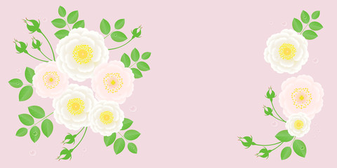 Flowers like wild roses