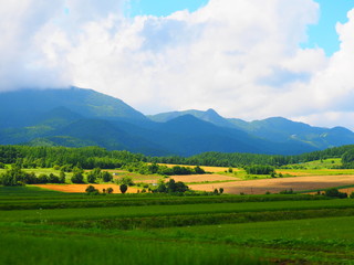 富良野