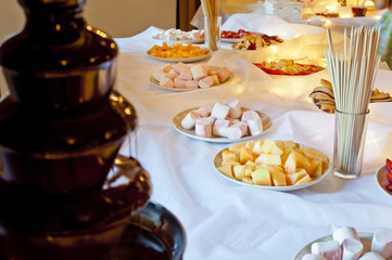 Snacks in reception party with chocolate fountain