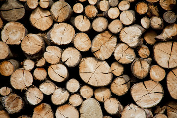 Pile of wood logs storage for industry.