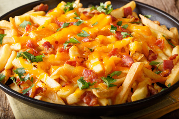 French fries baked with cheddar cheese, bacon and parsley closeup. horizontal