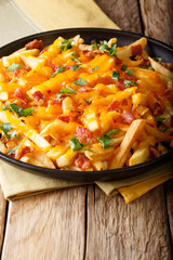 Delicious fast food: French fries with cheddar cheese, bacon and herbs close-up. vertical