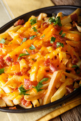 French fries with cheddar cheese, bacon and herbs close-up. vertical