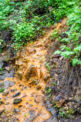 Brown liquid drains into a ravine in the forest