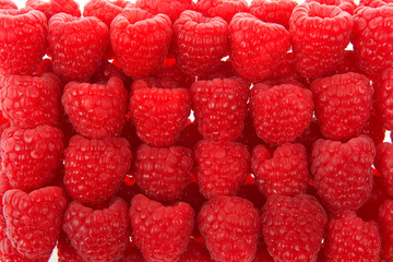 Fresh red raspberries lined up in a row, close up