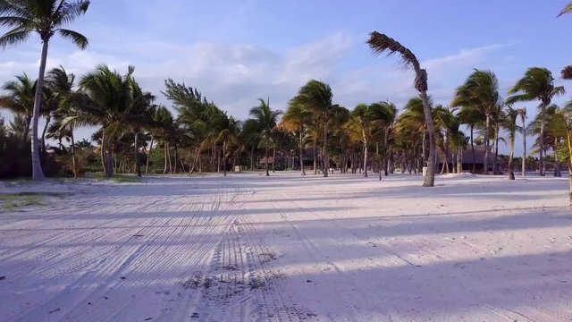 Aerial drone shot. The camera slowly flies between the coconut palms. Beautiful sunset on the coast of the Caribbean Sea. Riviera Maya, Quintana Roo, Mexico.