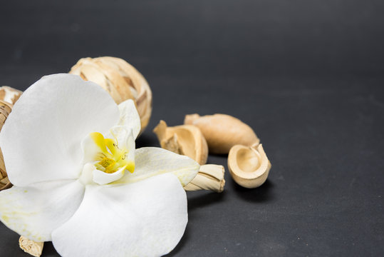 orchid, white archide flower with yellow center on a black background. Composition with wooden fragrances. Macro photography